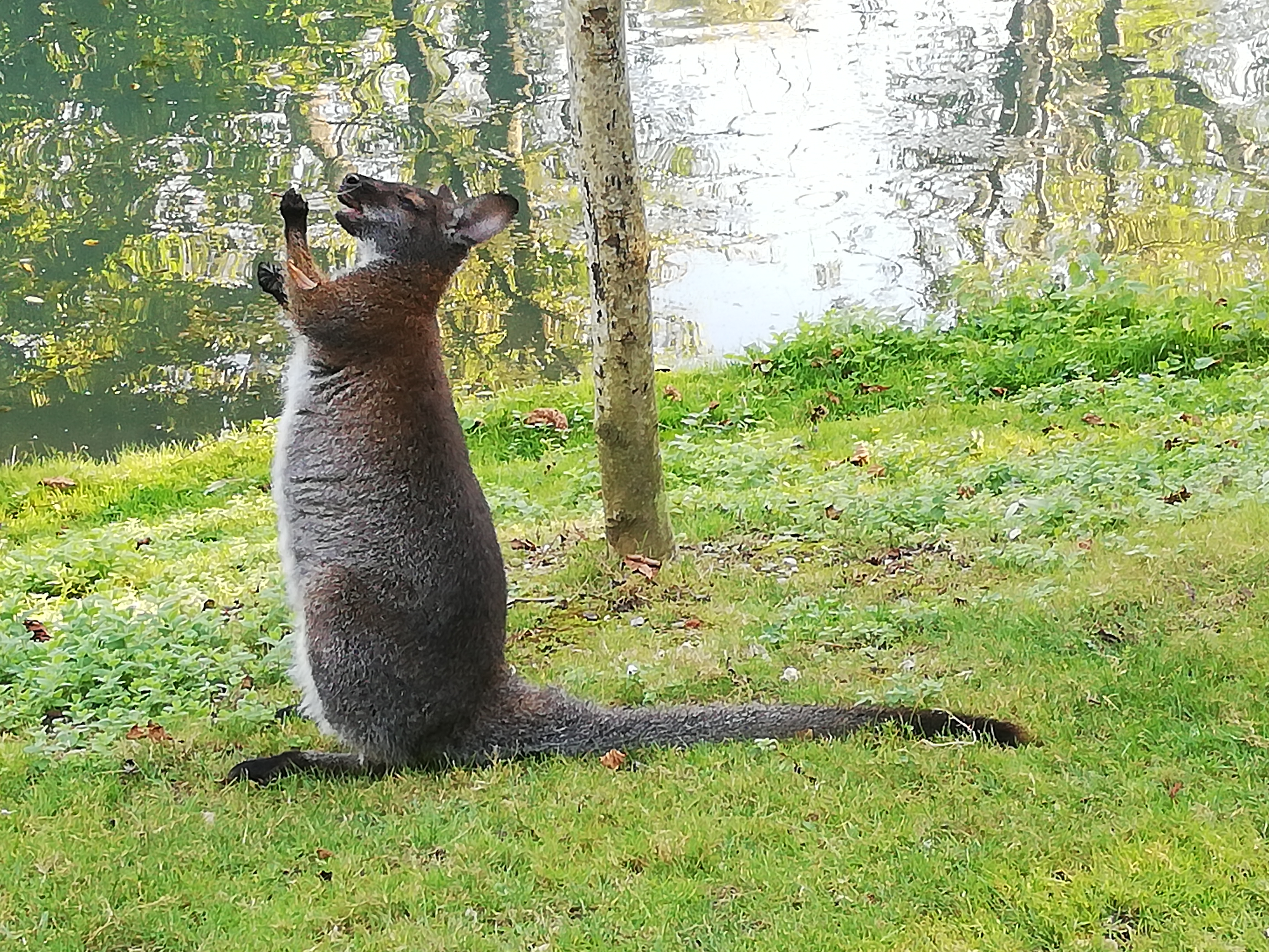 Photo n° 4 de l'avis de Jérôme.r fait le 09/10/2021 à 23:59