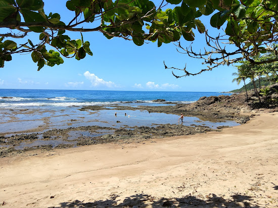 Praia da Arruda