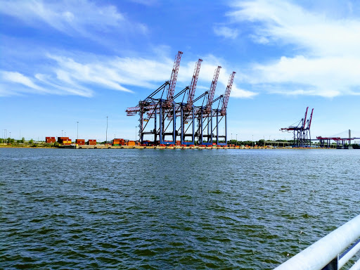 New York Container Terminal Inc image 4