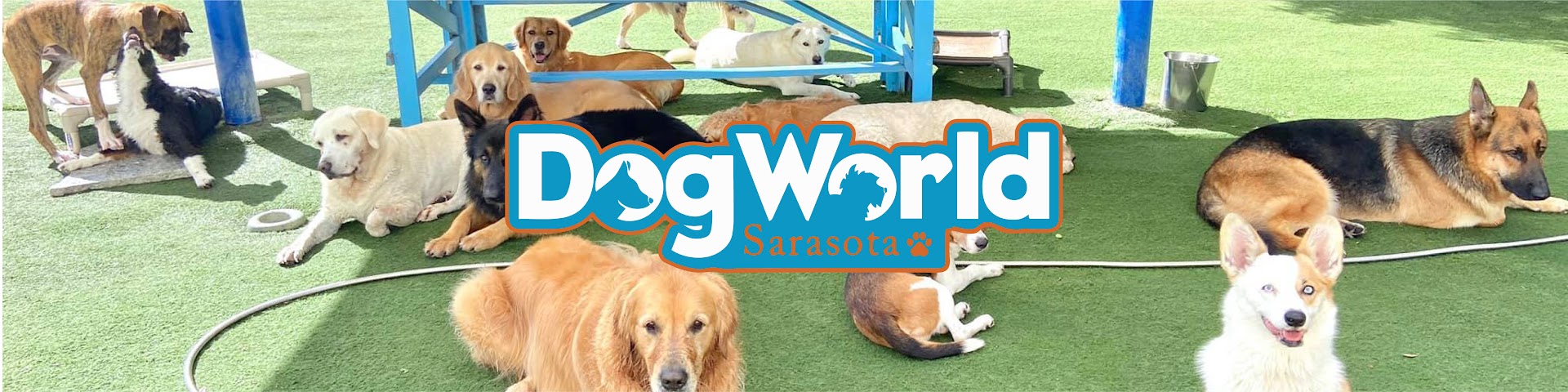 Dog World Sarasota