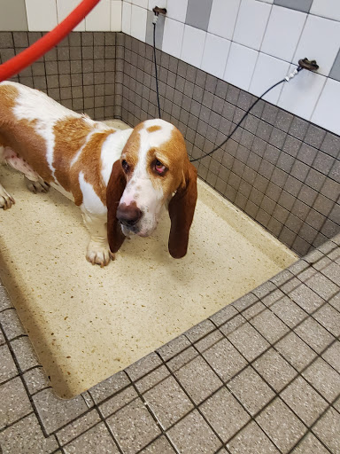 Pet Supply Store «Pet Food Express», reviews and photos, 5148 Stevens Creek Blvd, San Jose, CA 95129, USA