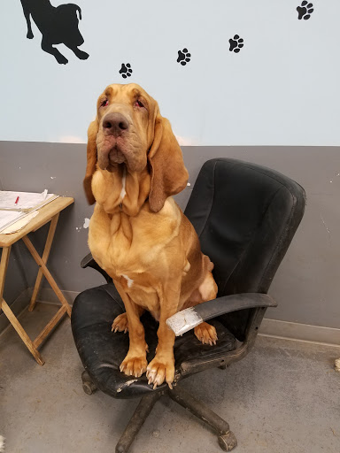 Tropical Fish Store «Pet Friendly Inc», reviews and photos, 845 Manitou Rd, Hilton, NY 14468, USA