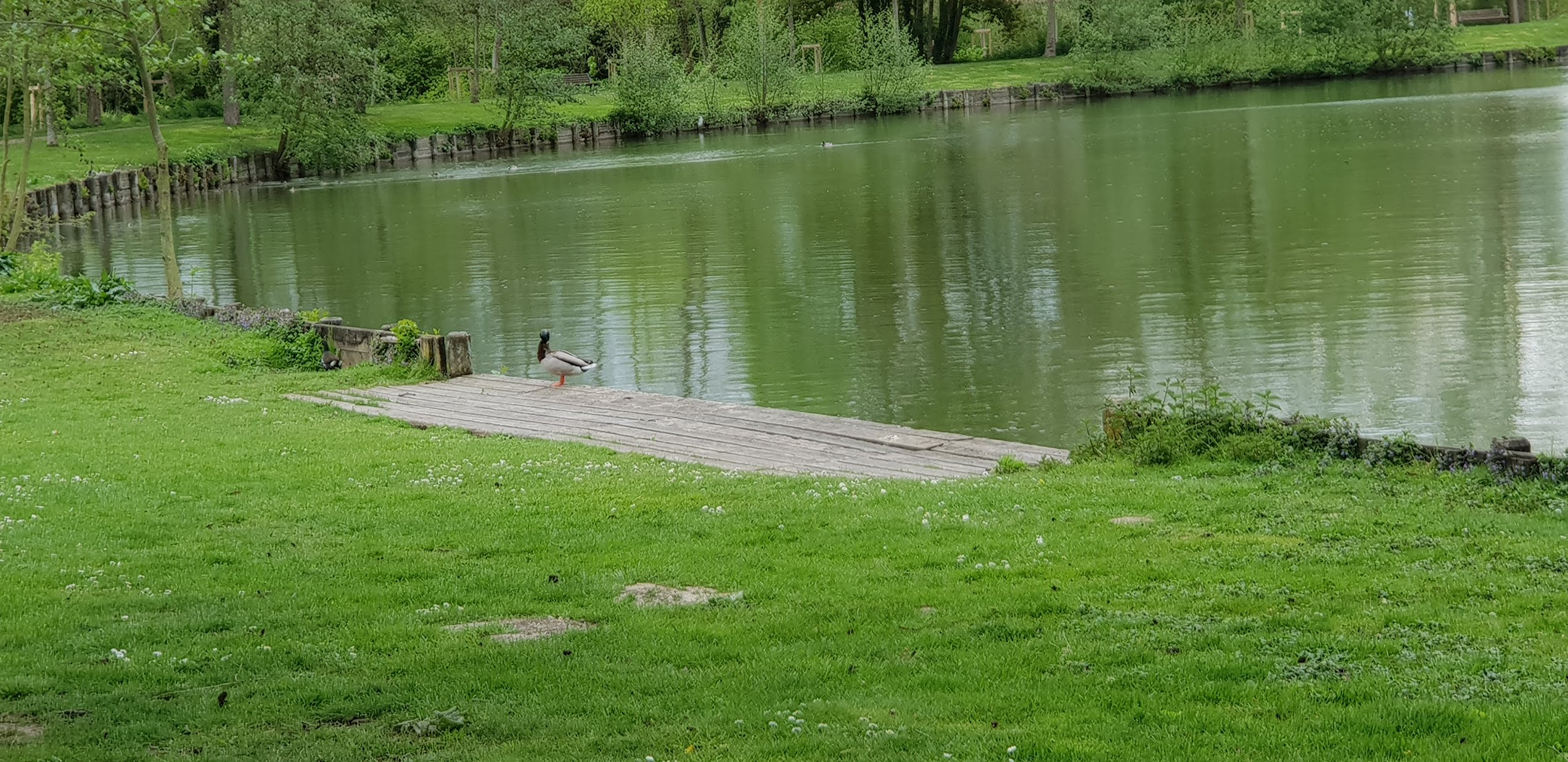 Photo n° 10 de l'avis de Dominique.A fait le 26/04/2019 à 16:27