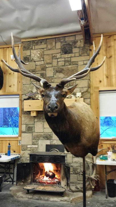 Cooks Quality Taxidermy