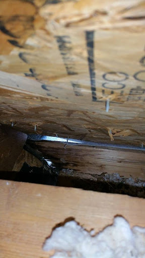 Animal Control Service «Xceptional Wildlife Removal», reviews and photos