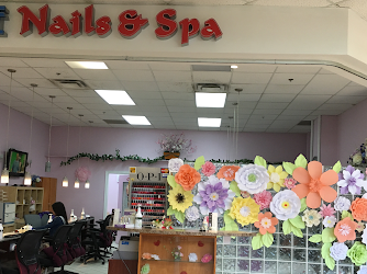 Elite Nails & Spa