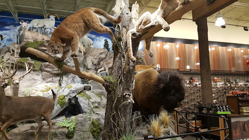 Outdoor Sports Store «Field & Stream», reviews and photos, 2075 Interchange Rd, Erie, PA 16509, USA