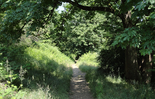 Golf Course «Rose City Golf Course», reviews and photos, 2200 NE 71st Ave, Portland, OR 97213, USA