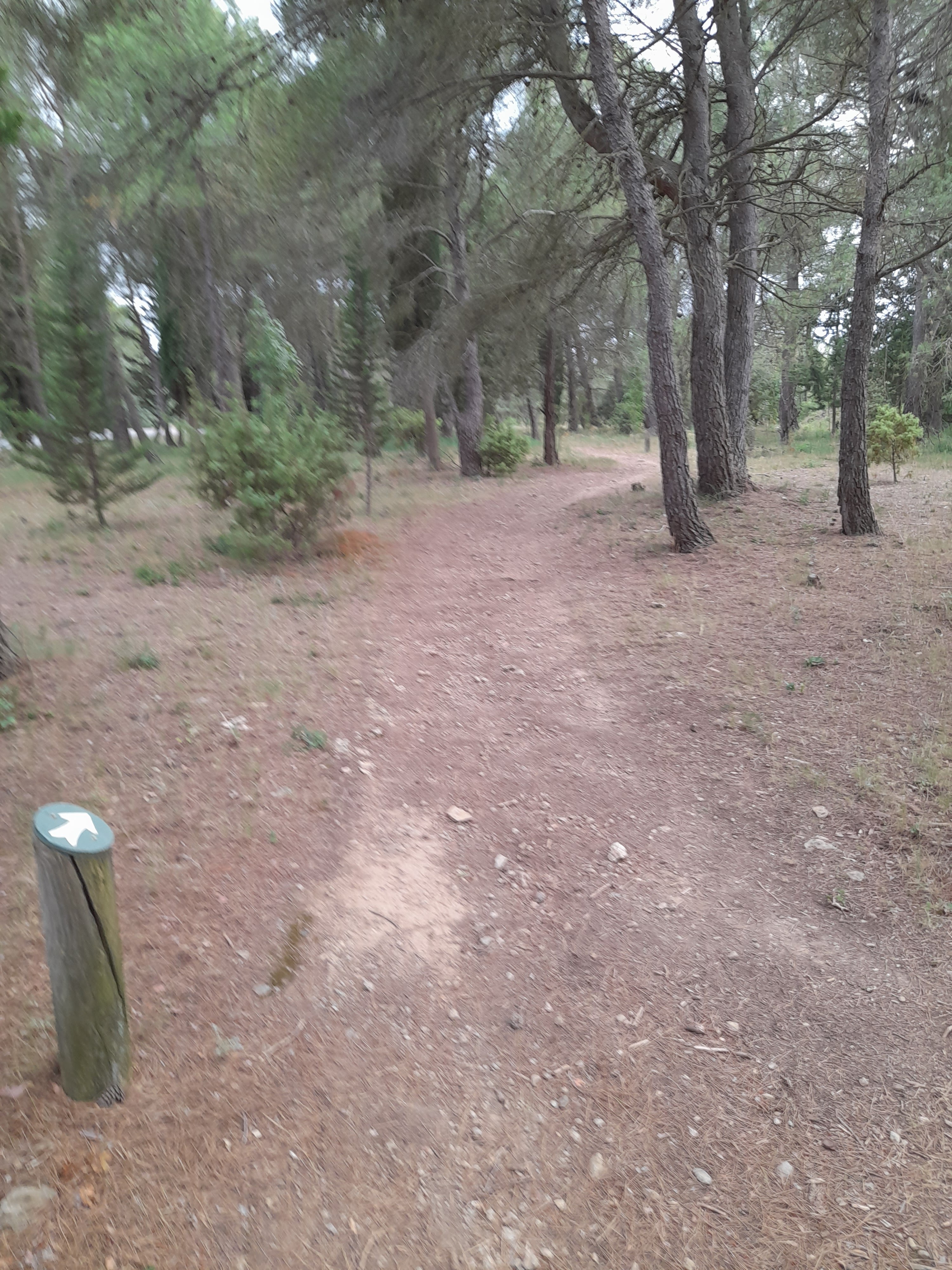 Photo n° 15 de l'avis de Bilbon.A fait le 20/06/2022 à 20:00