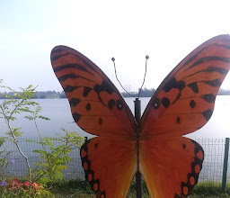 Parque Metropolitano de Tampico photo