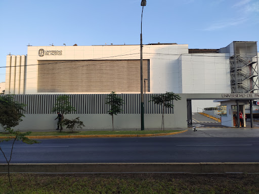 Universidad del Pacífico
