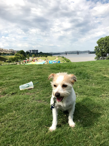 Tourist Attraction «Beale Street Landing», reviews and photos, 251 Riverside Dr, Memphis, TN 38103, USA