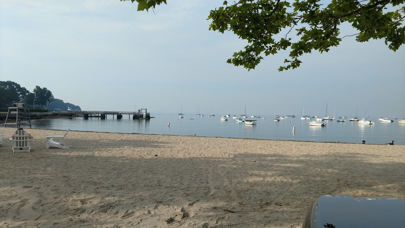 Fotografija Pear Tree Beach z svetel pesek površino