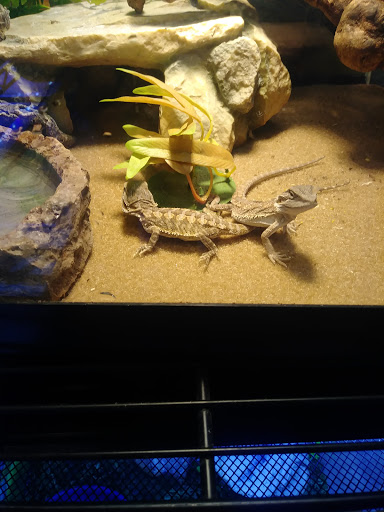 Pet Store «Pet Cove», reviews and photos, 820 E Center St, Kingsport, TN 37660, USA