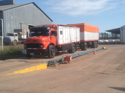 Mercedes Rice Mill - Adecoagro