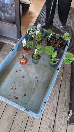 Garden Center «Lake Anna Nursery», reviews and photos, 71 Oak Grove Dr, Mineral, VA 23117, USA