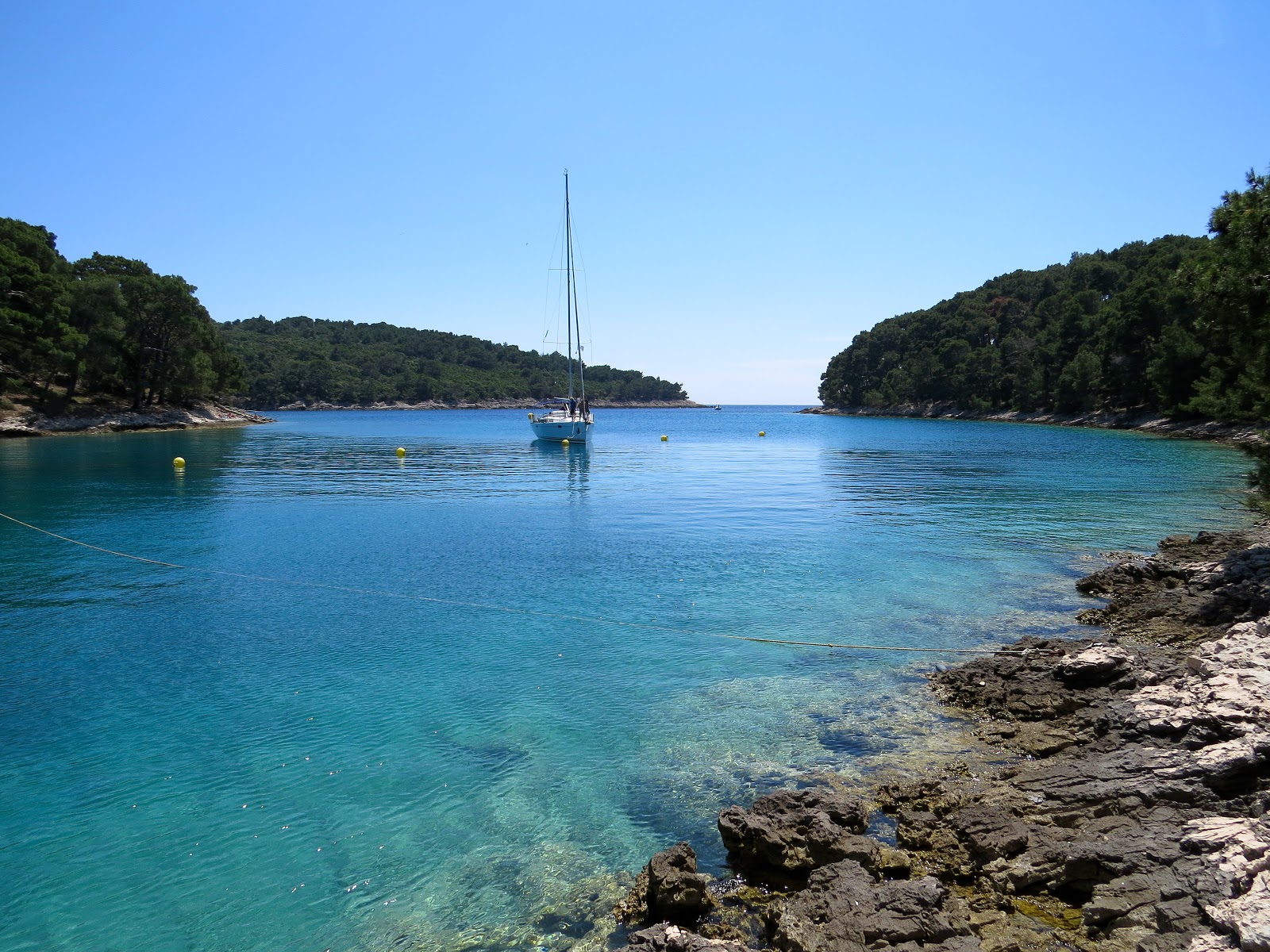 Foto di Krivica beach con molto pulito livello di pulizia