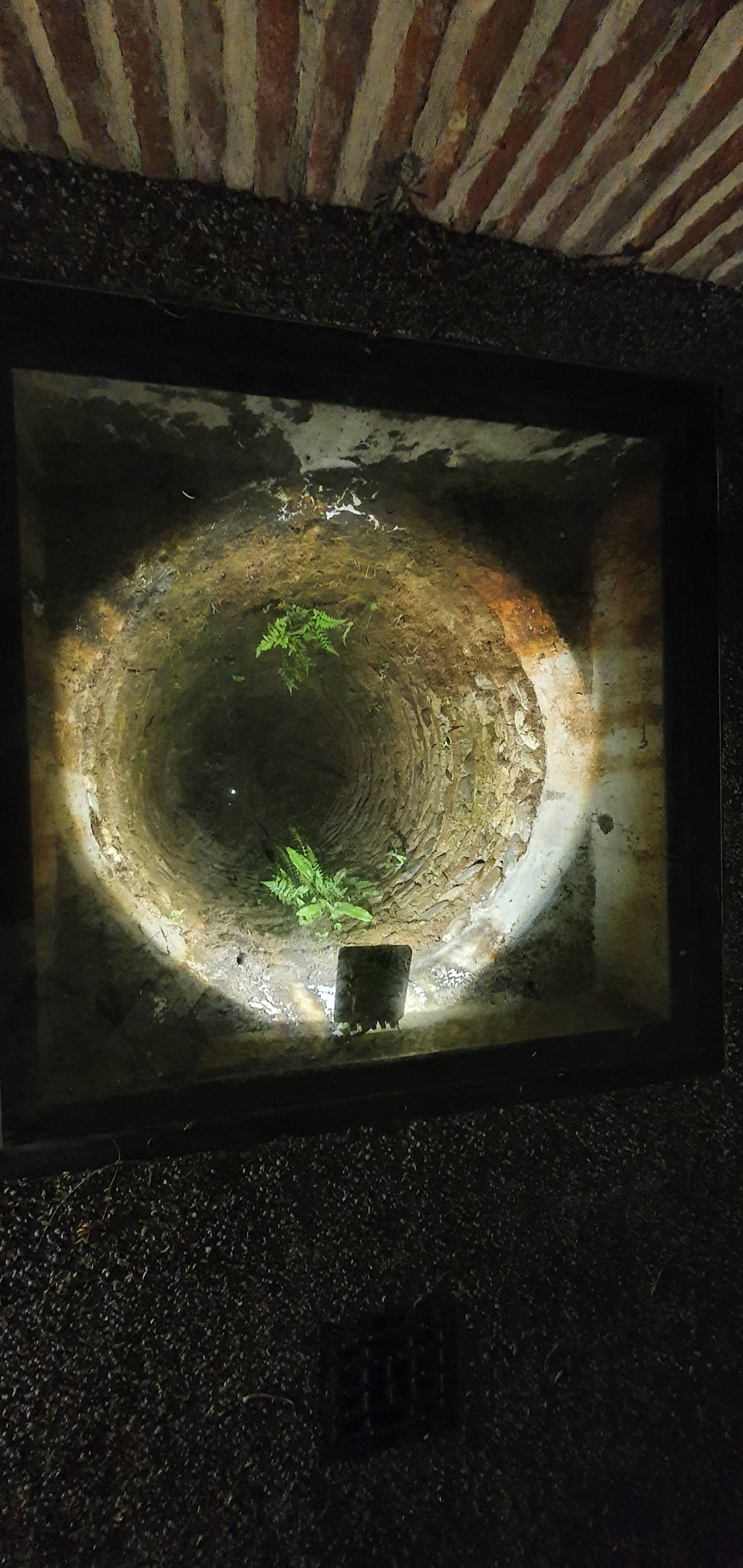 Photo n° 2 de l'avis de Fatia.a fait le 31/07/2020 à 21:47