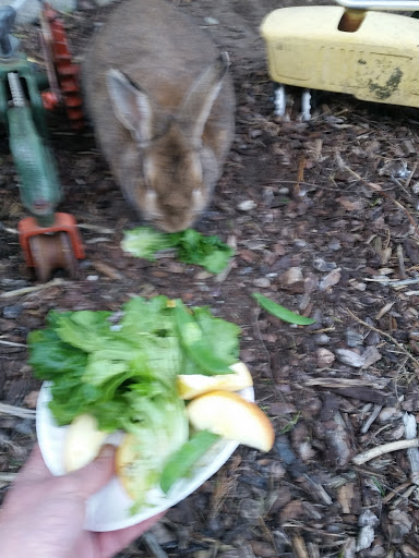 Produce Market «Local Boys», reviews and photos, 6702 Tyee Dr NW, Gig Harbor, WA 98332, USA