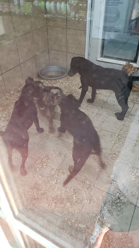 Pet Store «Pets Plus - Quakertown», reviews and photos, 117 S West End Blvd, Quakertown, PA 18951, USA