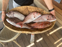 Photos du propriétaire du Restaurant de spécialités à base de poisson-pêcheur Palm-b à Bandol - n°4