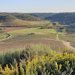 Photo n°8 de l'avis de Davide.i fait le 01/01/2020 à 17:15 sur le  Feudi del Pisciotto Wine Relais à Niscemi
