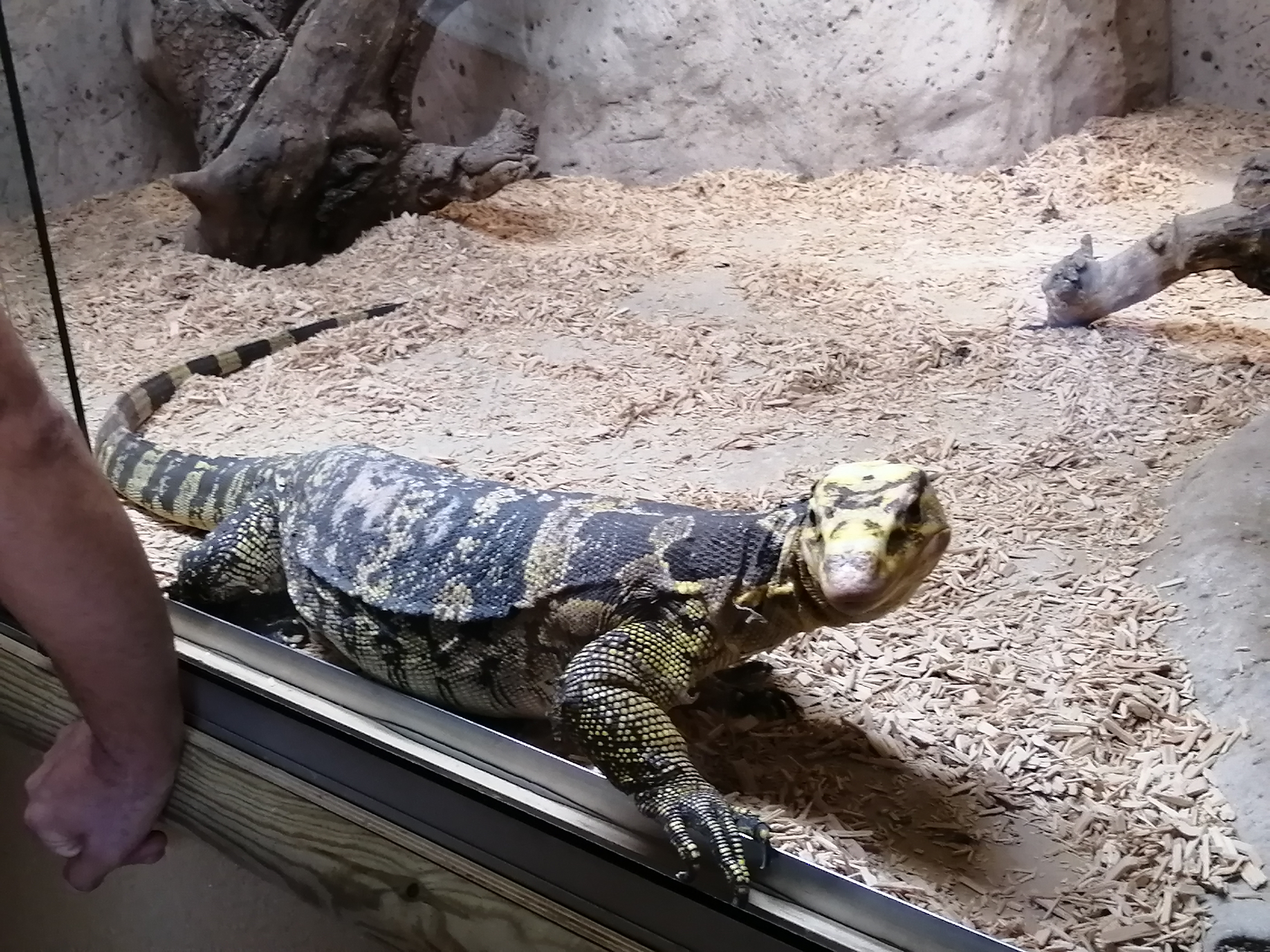 Photo n° 4 de l'avis de Mélissa.e fait le 31/10/2021 à 20:11