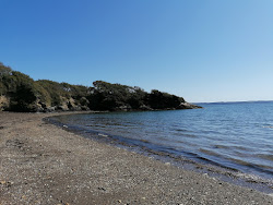 Plage de Porz Gwenn'in fotoğrafı imkanlar alanı