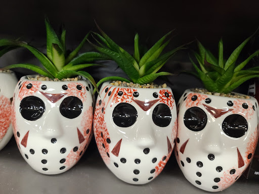 Book Store «Books-A-Million», reviews and photos, 1705-C Norman Dr, Valdosta, GA 31601, USA