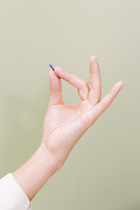 Aurora Acupuncture LLC - Photo 7 - Car repair in Raleigh, NC, Raleigh