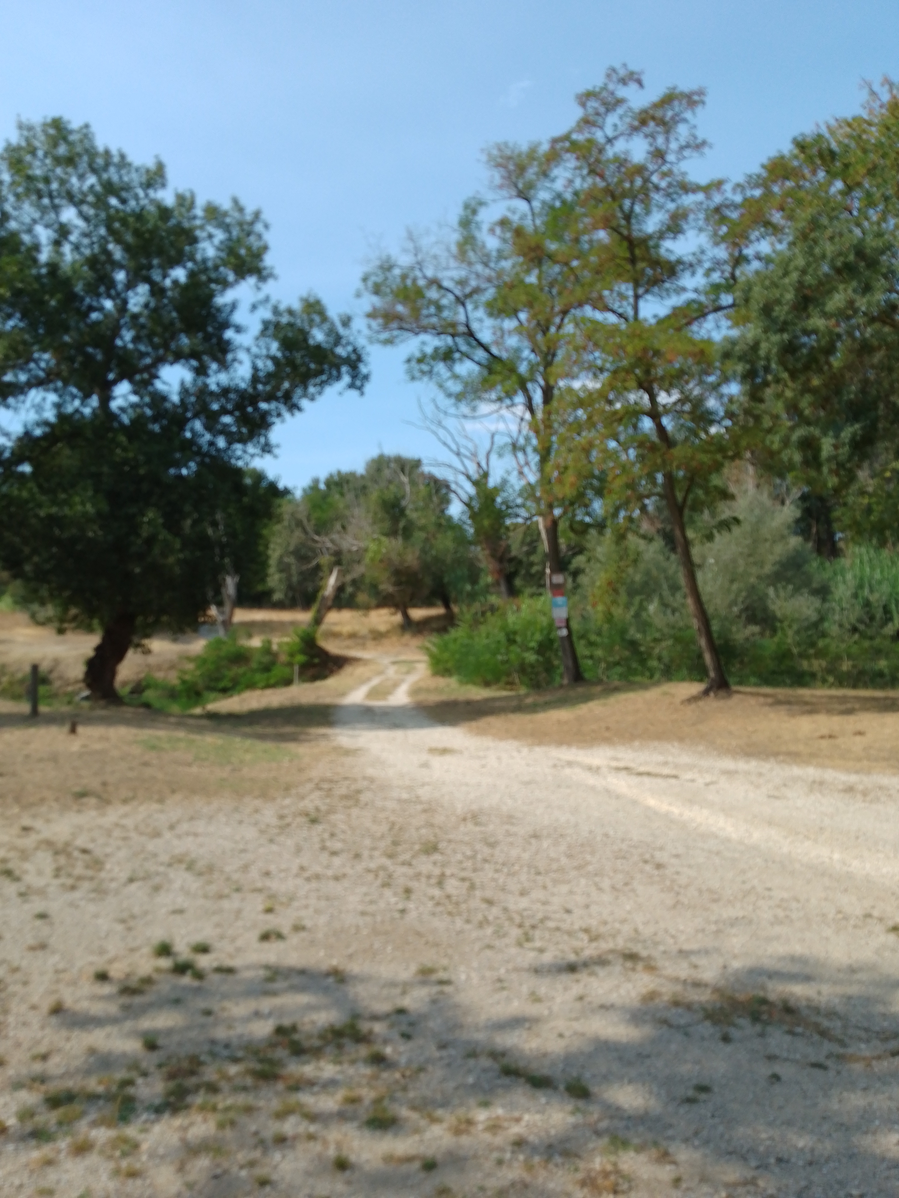 Photo n° 9 de l'avis de Minous.k fait le 30/08/2023 à 14:06