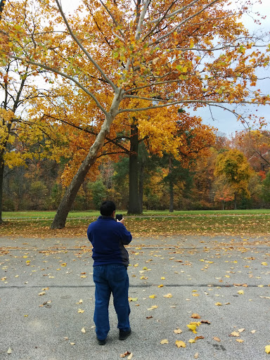 Golf Course «Mastick Woods Golf Course», reviews and photos, 19900 Puritas Ave, Cleveland, OH 44135, USA