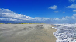 Foto von Karamea Beach befindet sich in natürlicher umgebung