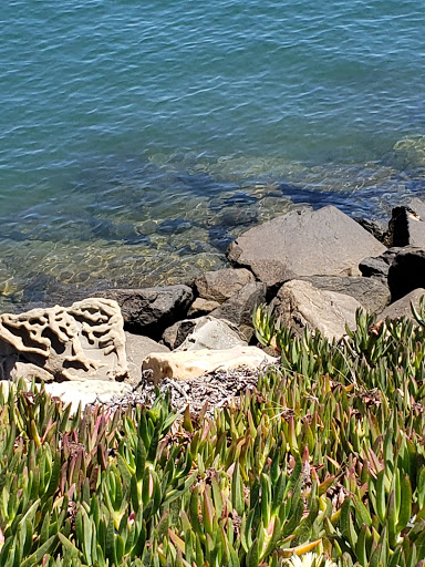 Safe Harbor Anacapa Isle image