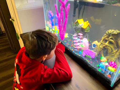 Pet Store «Bird Dog & Catfish», reviews and photos, 115 Old Boerne Rd, Bulverde, TX 78163, USA