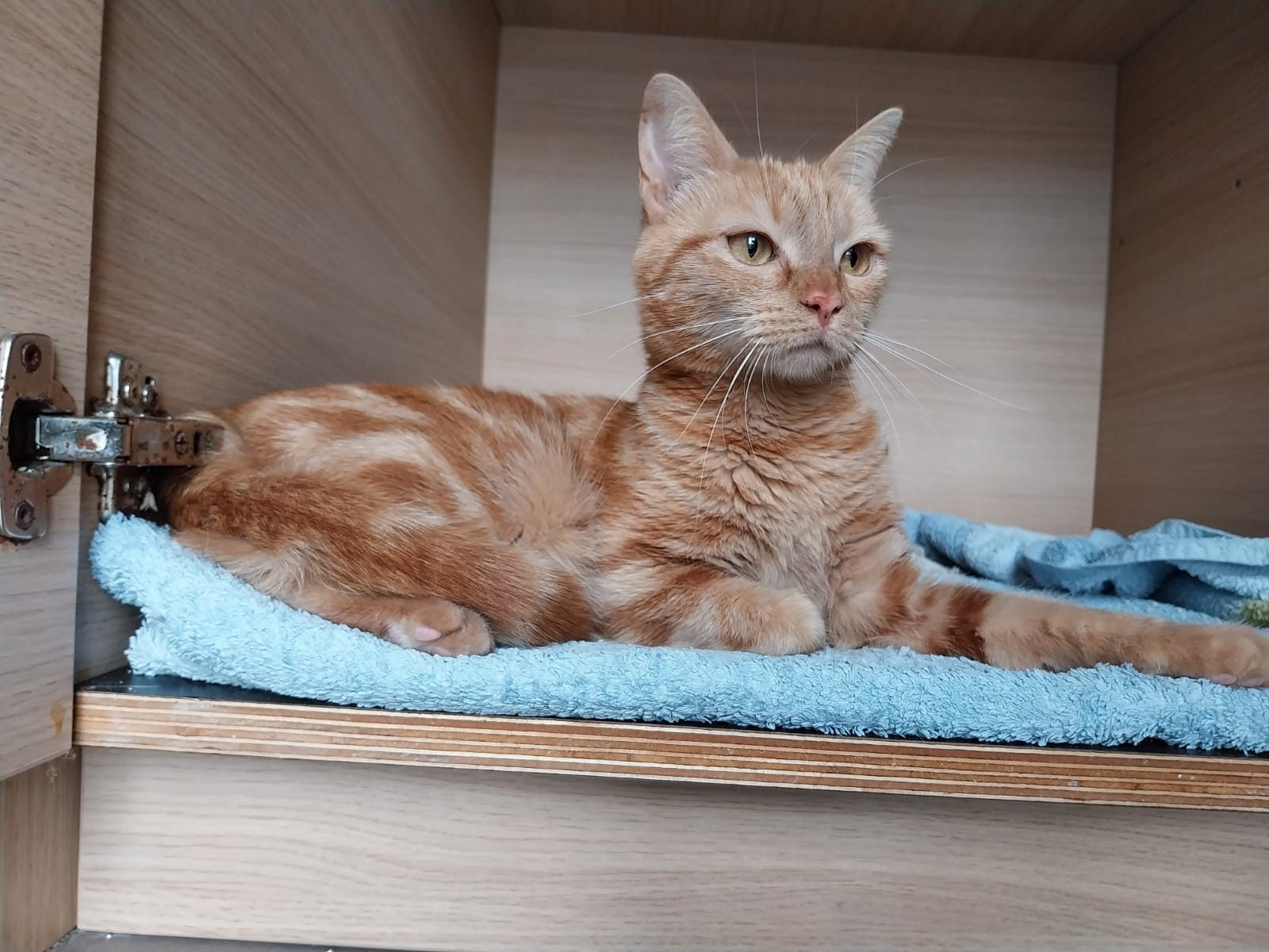 Photo n° 2 de l'avis de Valérie.e fait le 02/07/2023 à 08:35