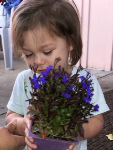 Day Care Center «Penny & Peggy Nairn 24 Hour Childcare, Inc», reviews and photos, 9213 N Columbus Ave, North Hills, CA 91343, USA