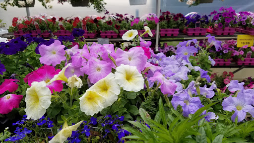 Hardware Store «Ham Lake Hardware Hank», reviews and photos, 17426 MN-65, Ham Lake, MN 55304, USA