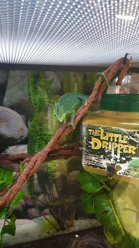 Pet Supply Store «Petco Animal Supplies», reviews and photos, 2765 Santa Rosa Ave, Santa Rosa, CA 95407, USA