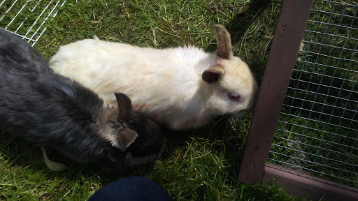 Museum «Hiram Blauvelt Art Museum», reviews and photos, 705 Kinderkamack Rd, Oradell, NJ 07649, USA