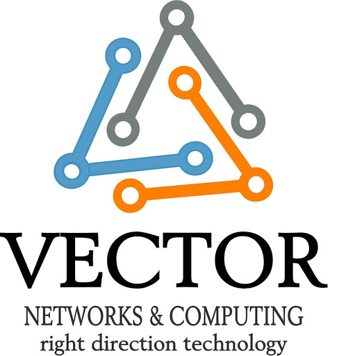 Vector Networks and Computing
