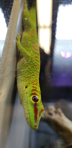 Pet Supply Store «Petco Animal Supplies», reviews and photos, 1680 Campbell Ln, Bowling Green, KY 42104, USA