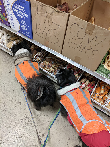 Pet Supply Store «Red Mill Pet Supplies», reviews and photos, 1111 W Chicago Blvd # 120, Tecumseh, MI 49286, USA