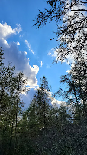 Nature Preserve «Tom S Cooperrider-Kent Bog State Nature Preserve», reviews and photos, 1028 Meloy Rd, Kent, OH 44240, USA