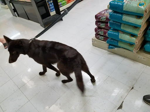 Pet Supply Store «Pet Food Center», reviews and photos, 2744 Frederica St, Owensboro, KY 42301, USA