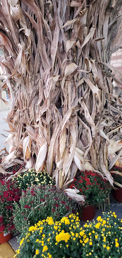 Shopping Mall «Park Ridge Shopping Center», reviews and photos, 2725 W Main St, Eagleville, PA 19403, USA