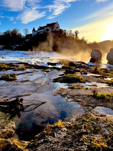 Rheinfall - Umzugs- und Lagerservice