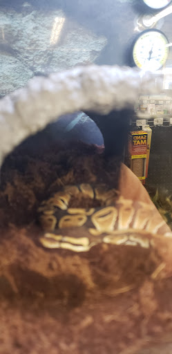 Pet Supply Store «Petco Animal Supplies», reviews and photos, 1320 Lincoln Way E #20, Chambersburg, PA 17202, USA