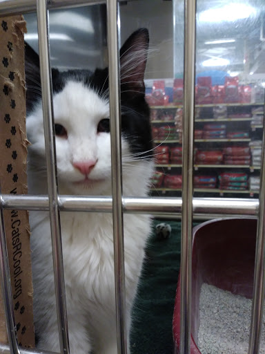 Pet Supply Store «PetSmart», reviews and photos, 1559 Merritt Blvd, Dundalk, MD 21222, USA