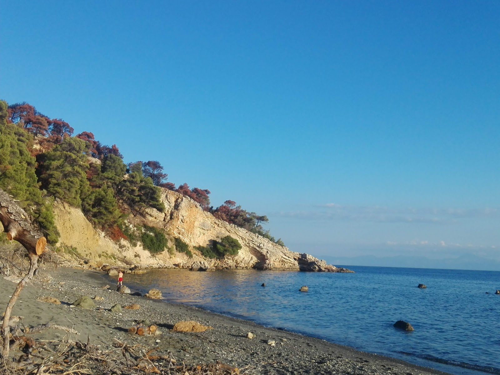 Foto di Paralia Vithisma con parzialmente pulito livello di pulizia